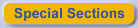 Special Sections